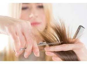 العناية بالشعر